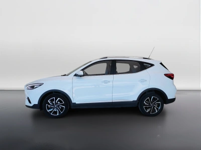 8 - Mg ZS Cascioli Group