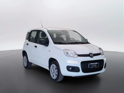 3 - Fiat Panda Cascioli Group