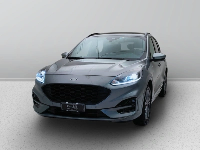 1 - Ford Kuga Cascioli Group