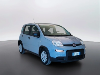 3 - Fiat Panda Cascioli Group