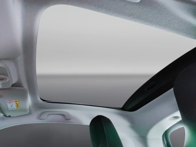 9 - smart fortwo Cascioli Group