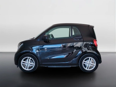 8 - smart fortwo Cascioli Group