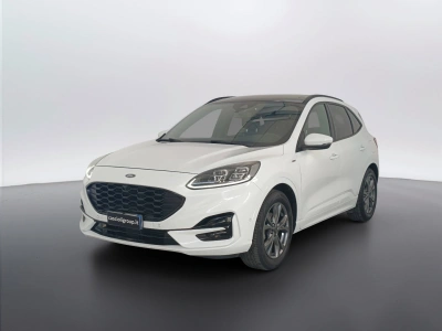 1 - Ford Kuga Cascioli Group