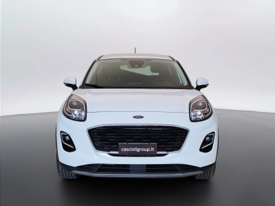 2 - Ford Puma Cascioli Group