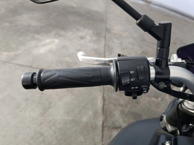 7 - Yamaha MT Cascioli Group