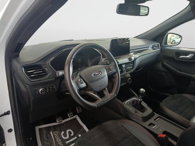 7 - Ford Kuga Cascioli Group