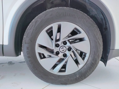 9 - Nissan Qashqai Cascioli Group