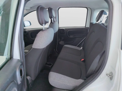 10 - Fiat Panda Cascioli Group