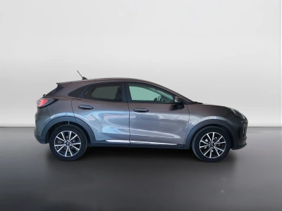 4 - Ford Puma Cascioli Group