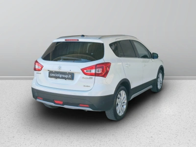 6 - Suzuki S Cascioli Group