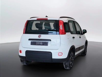 5 - Fiat Panda Cascioli Group
