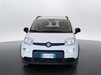 2 - Fiat Panda Cascioli Group