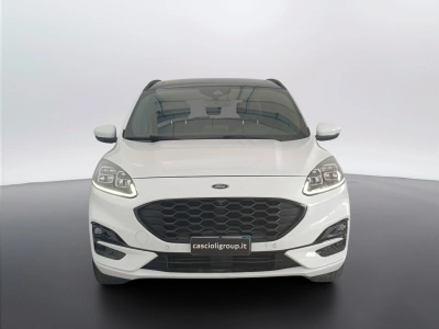 2 - Ford Kuga Cascioli Group