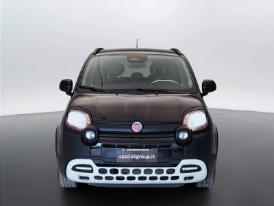 2 - Fiat Panda Cascioli Group