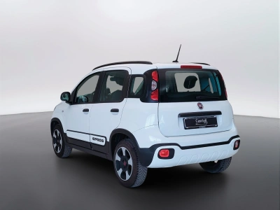 7 - Fiat Panda Cascioli Group
