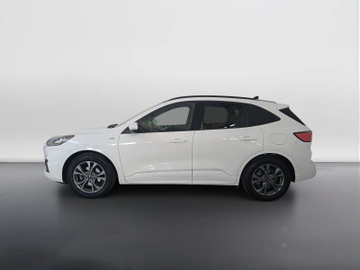 6 - Ford Kuga Cascioli Group