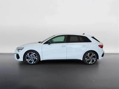 7 - Audi A3 Cascioli Group