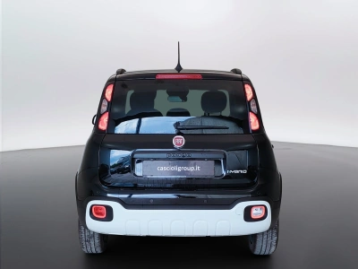 6 - Fiat Panda Cascioli Group
