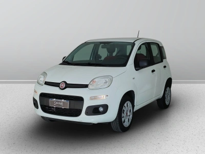 1 - Fiat Panda Cascioli Group
