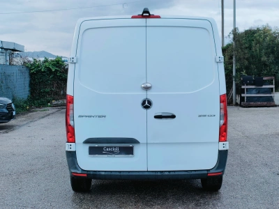 4 - Mercedes Vans Sprinter Cascioli Group