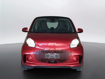 2 - smart fortwo Cascioli Group