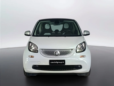 2 - smart fortwo Cascioli Group