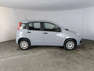 3 - Fiat Panda Cascioli Group