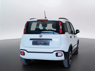 5 - Fiat Panda Cascioli Group