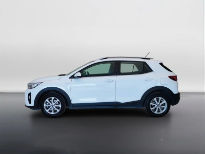 8 - Kia Stonic Cascioli Group