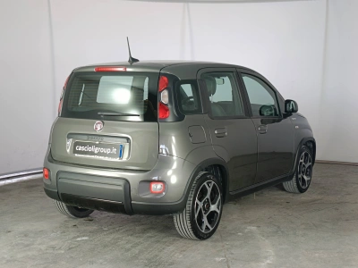 4 - Fiat Panda III 2021 Cascioli Group