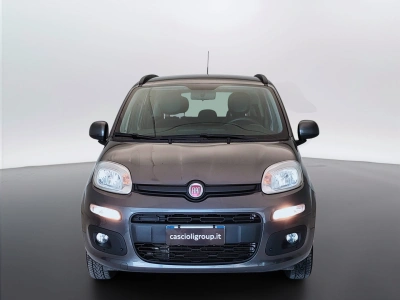 2 - Fiat Panda Cascioli Group
