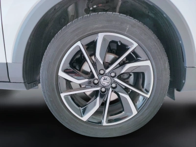 9 - Mg ZS Cascioli Group