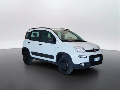 3 - Fiat Panda Cascioli Group