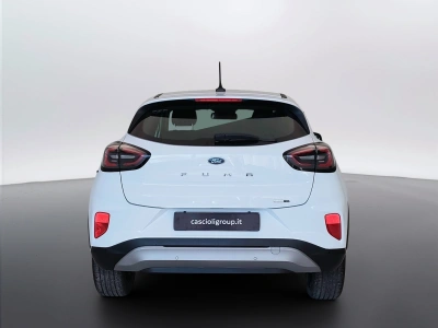 6 - Ford Puma Cascioli Group