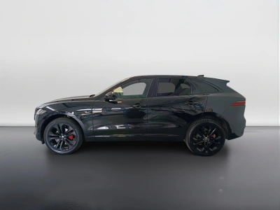 6 - Jaguar F Cascioli Group