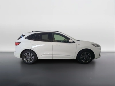 3 - Ford Kuga Cascioli Group