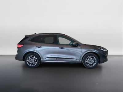 4 - Ford Kuga Cascioli Group