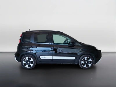 4 - Fiat Panda Cascioli Group