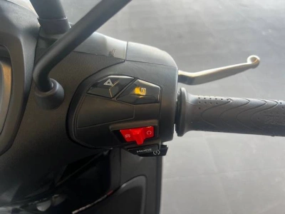 6 - Piaggio Beverly Cascioli Group