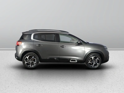 6 - Citroen C5 Cascioli Group