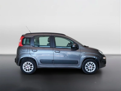 4 - Fiat Panda Cascioli Group