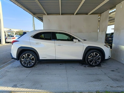 3 - Lexus UX Cascioli Group