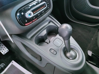 10 - smart fortwo Cascioli Group