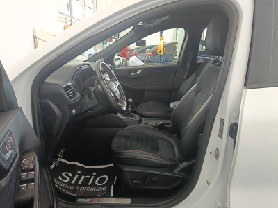 8 - Ford Kuga Cascioli Group