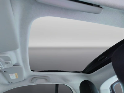 10 - smart fortwo Cascioli Group