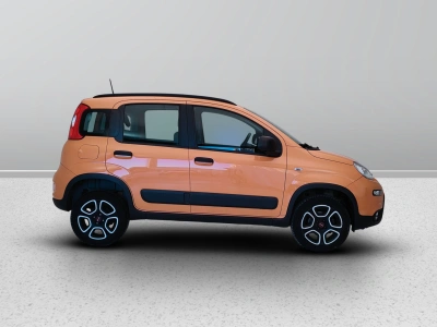 7 - Fiat Panda Cascioli Group