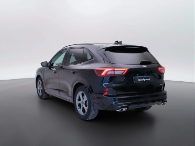 7 - Ford Kuga Cascioli Group