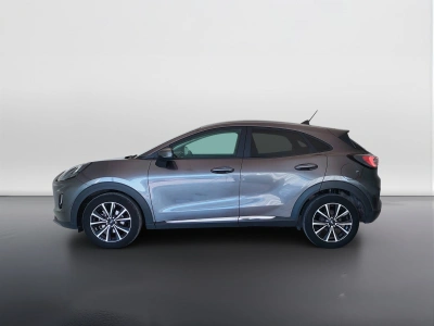 8 - Ford Puma Cascioli Group