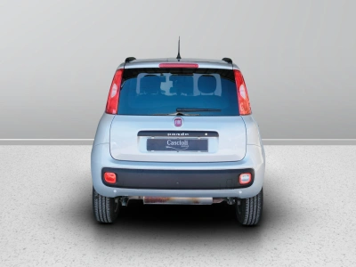 4 - Fiat Panda III Van 2016 Cascioli Group
