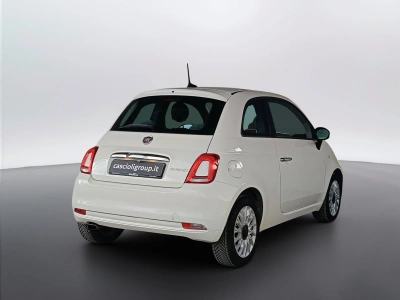 4 - Fiat 500 Cascioli Group